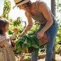 How high-quality seeds can improve crop yield