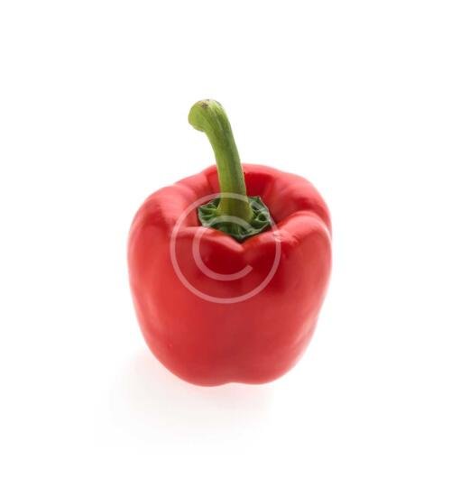 Bell Pepper