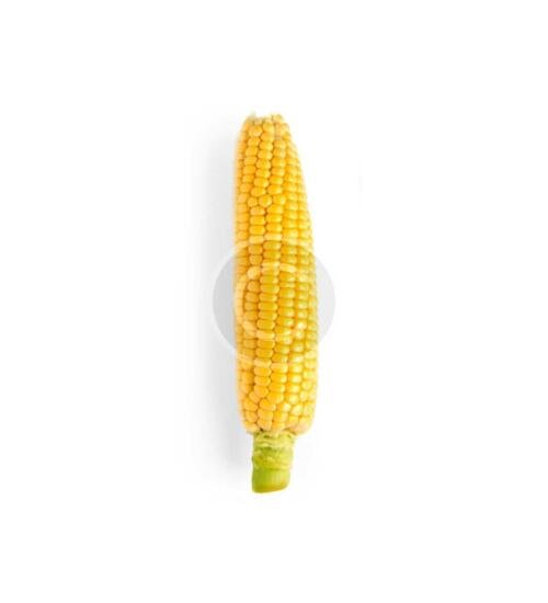 Early Sunglow Corn
