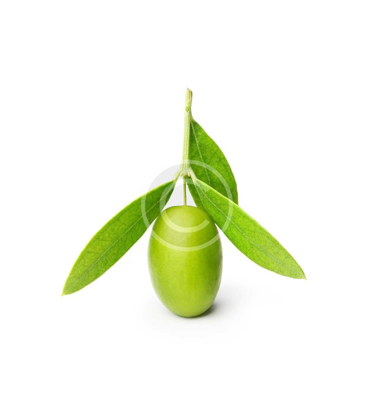 Green Olives